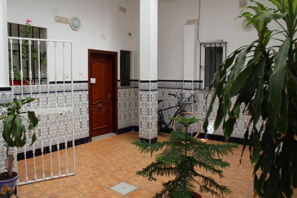 Cdz - Casa De Los Viajeros Pasquin Cadiz Exterior photo